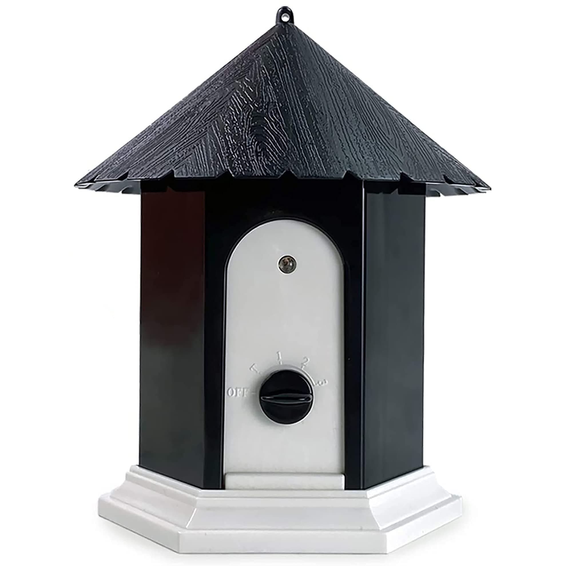 Rainbow Records Abalone Shell, 6" Stand, White Sage Smudge Stick & Directions