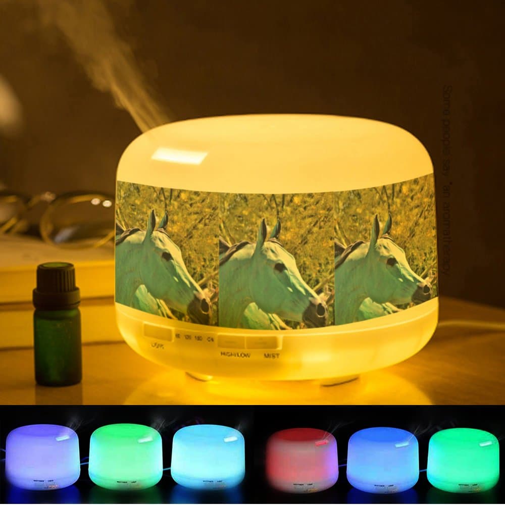 Essential Oil Diffuser, Aroma Cool Mist Humidifier, 7 Color LED Lights Changing Customized Pattern -356. Fountain Metal Blue Horse Statue