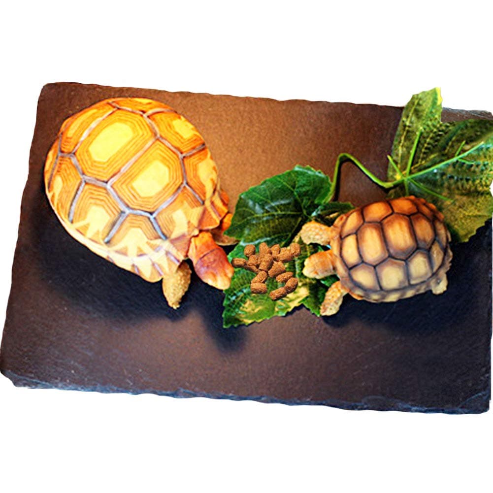 Tfwadmx Reptile Basking Platform Large Tortoise Feeding Bathing Area Turtle Original Rock Plate Grinding Nails Resting Terrace Habitat Decor for Amphibian Reptile Bearded Dragon Chameleon Snake
