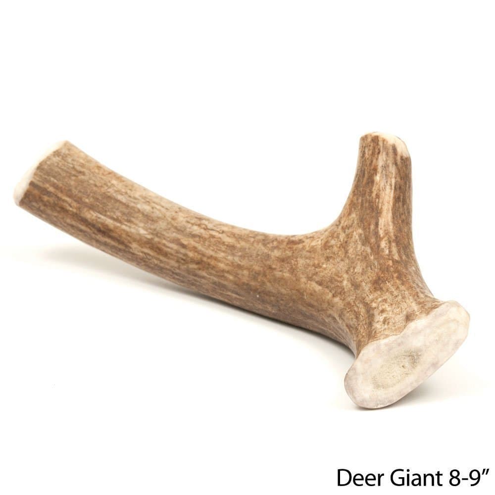 Prairie Dog Giant Deer Antler (2 Pack)