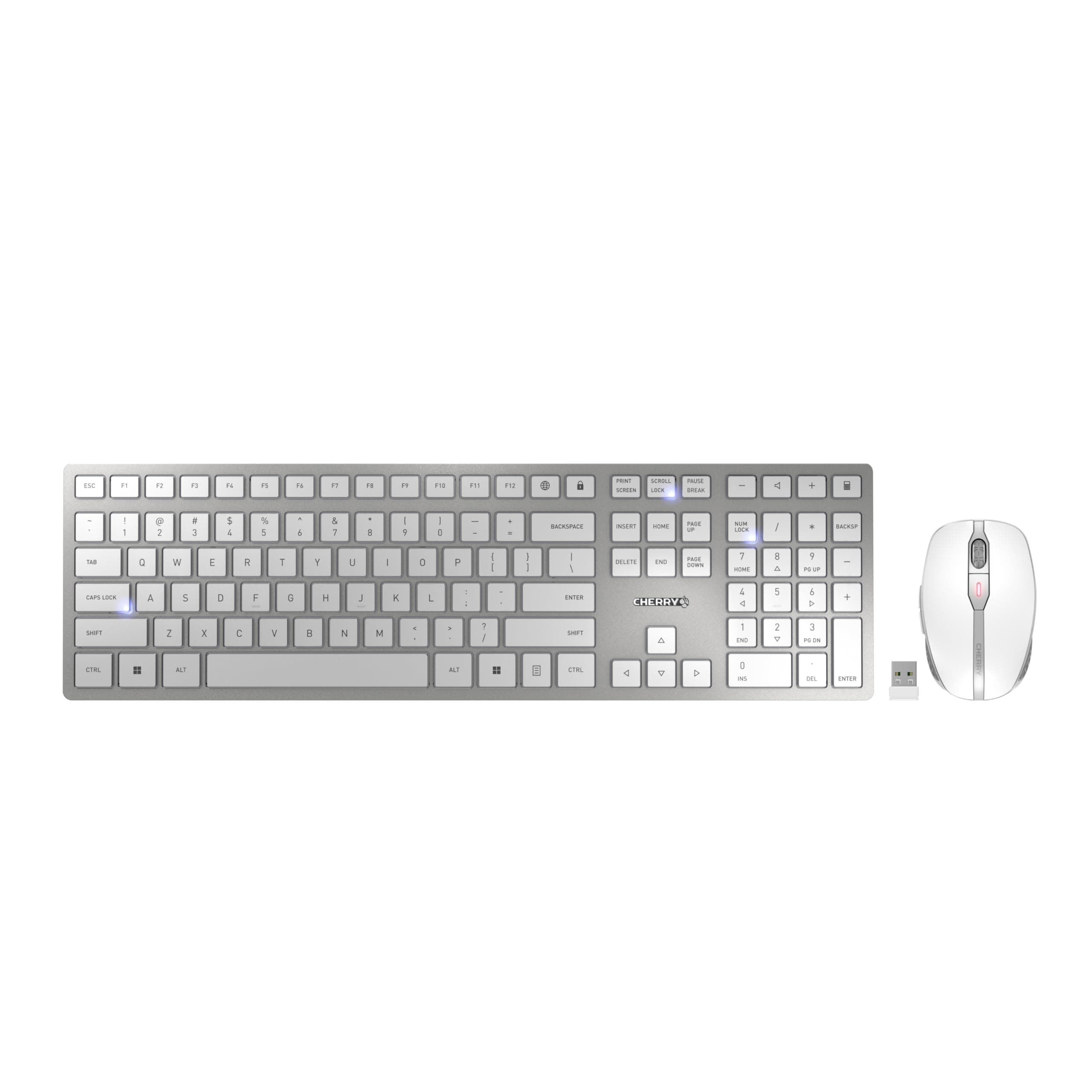 DW 9100 Slim, Wireless Keyboard and Mouse Set, Bluetooth & 2.4 GHz RF Connection, Quiet Keys, Comfortable Writing, Rechargeable, QWERTY, Silver/White