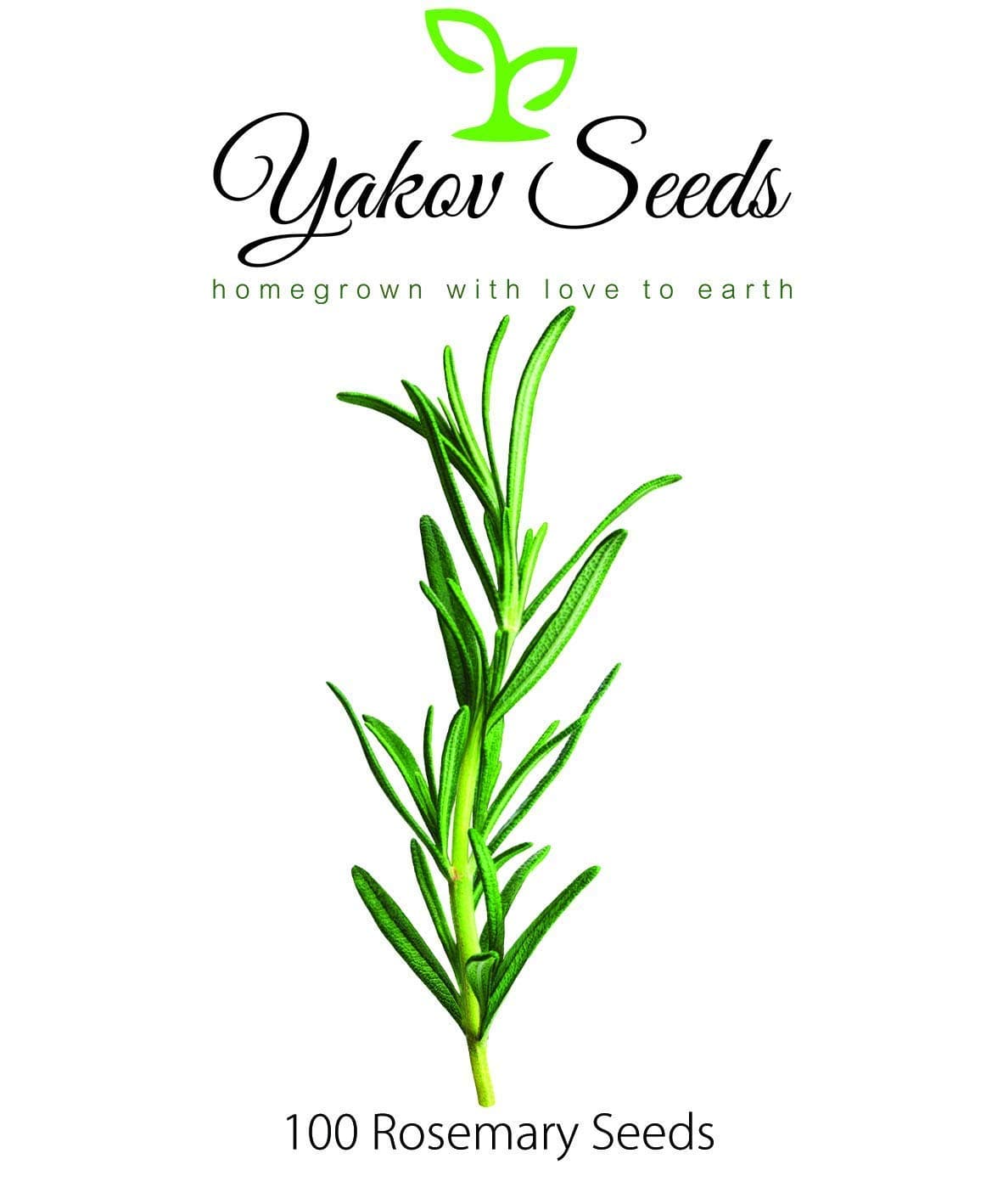Rosemary (80 seeds )