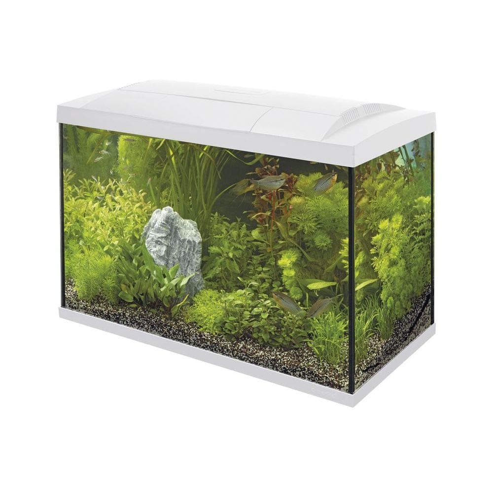 Superfish Start 70 Aquarium - White