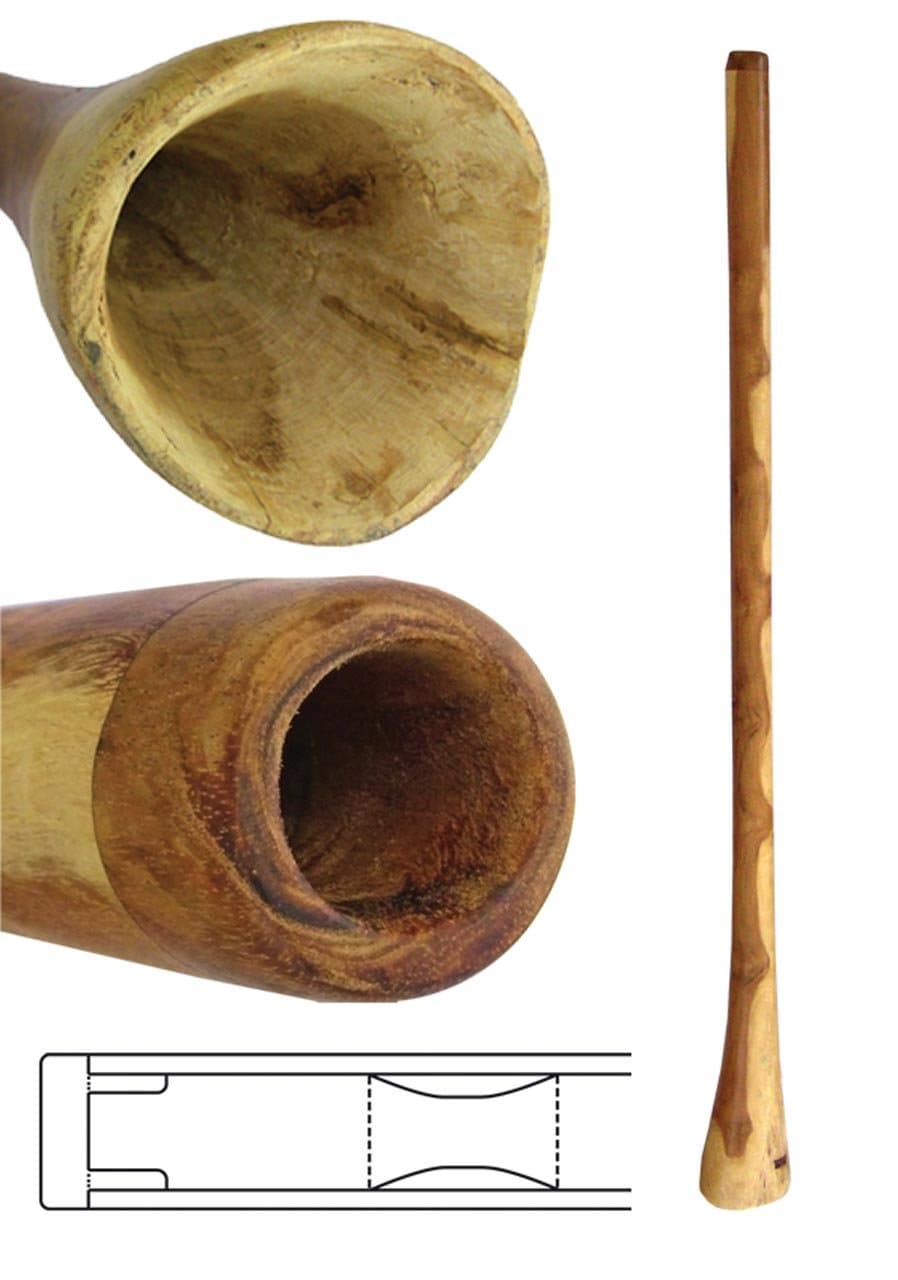 - Handmade Didgeridoo Eucalyptus (59 inch)