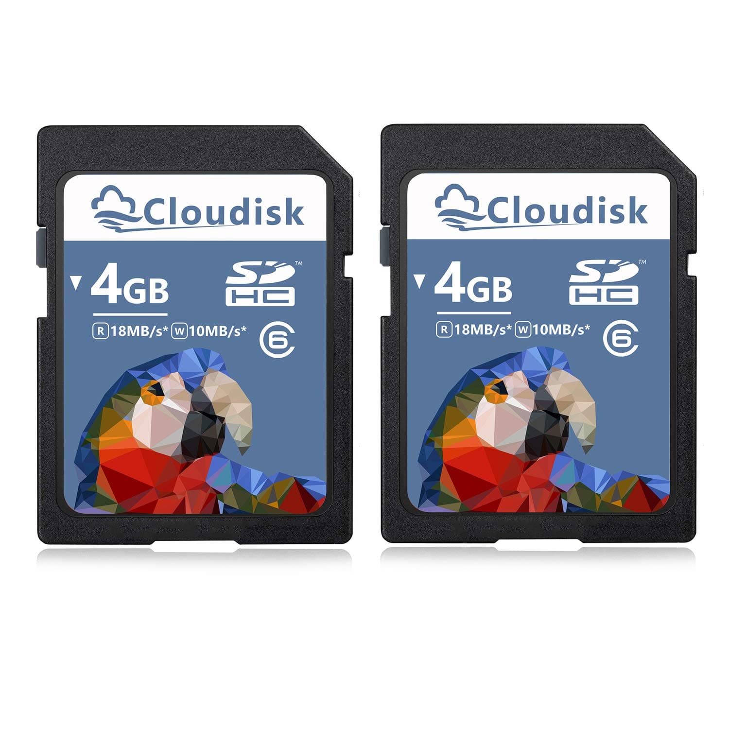 Pack of 2 4GB SDHC Class 6 Flash Memory Card 4 GB Digital Camera Cards (4GB)