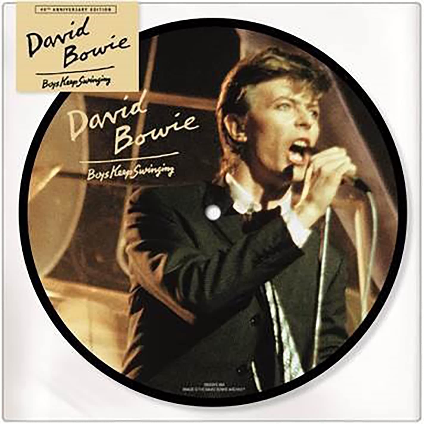 Boys Keep Swinging (40th Anniversary Picture Disc)