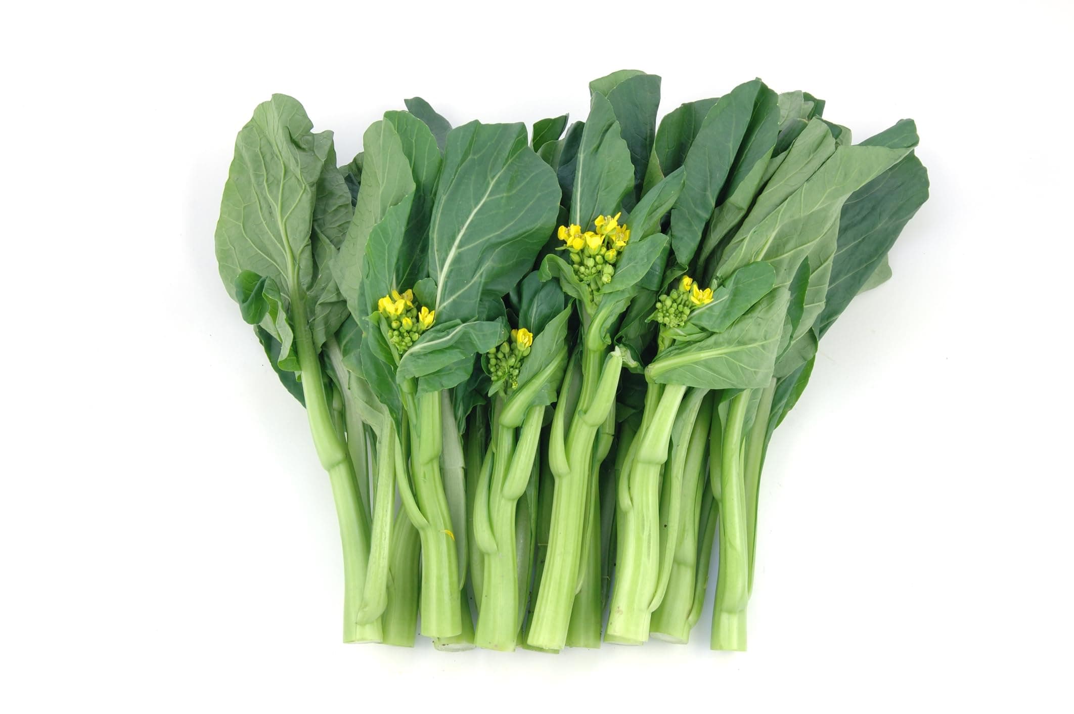 Just Seed Choy Sum - Guncho - 200 Seeds