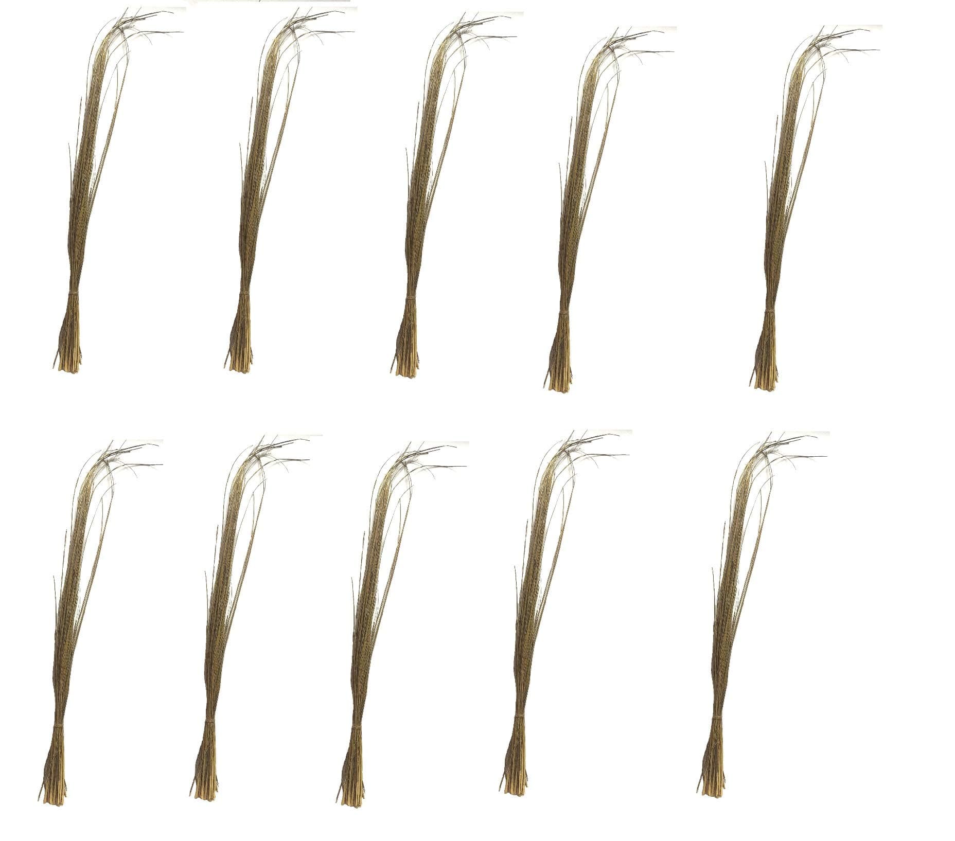 CHEZEL® Darbha Grass or Kusha Grass Dharbha Grass Halfa Grass for Pooja Karma(Brown) (10 boundle)