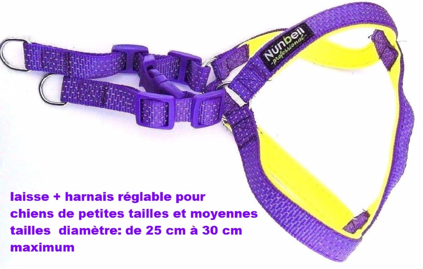 Lead and Harness Set for Small and Medium Size Dogs, 25 cm. Diameter: At least up to 30 cm adjustable, Classic Lead and Harness, Purple and Yellow Neon Soft Lining