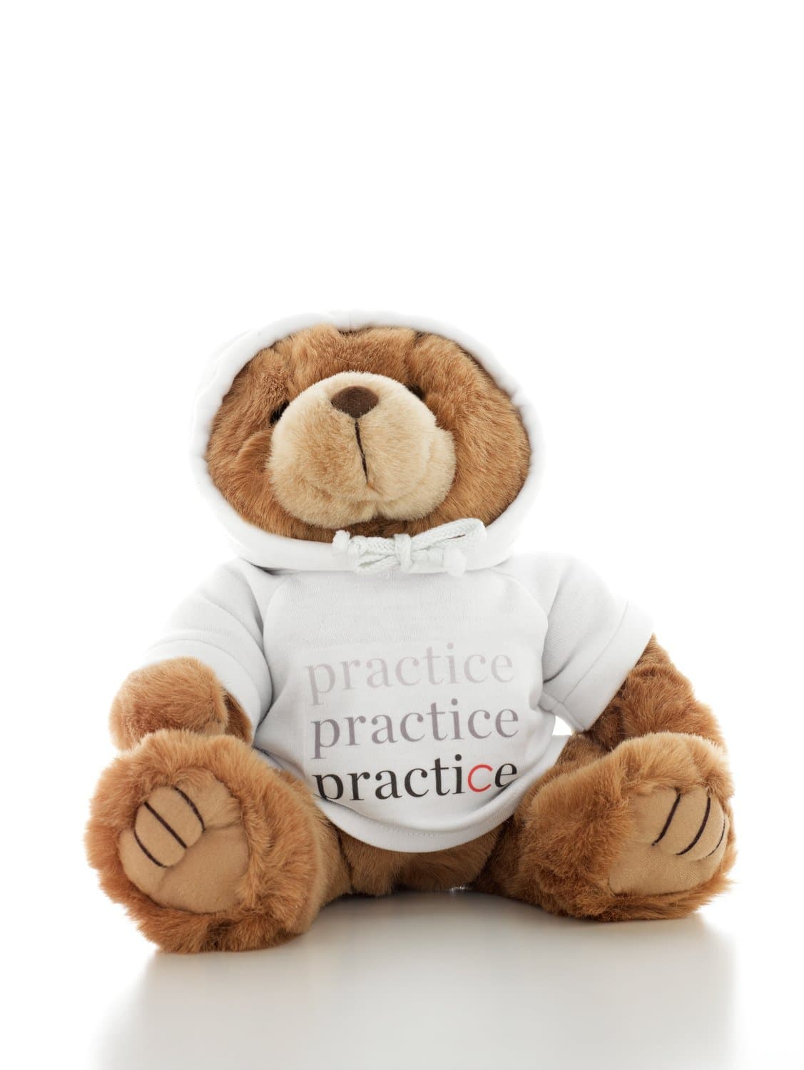 Carnegie Hall Teddy Bear
