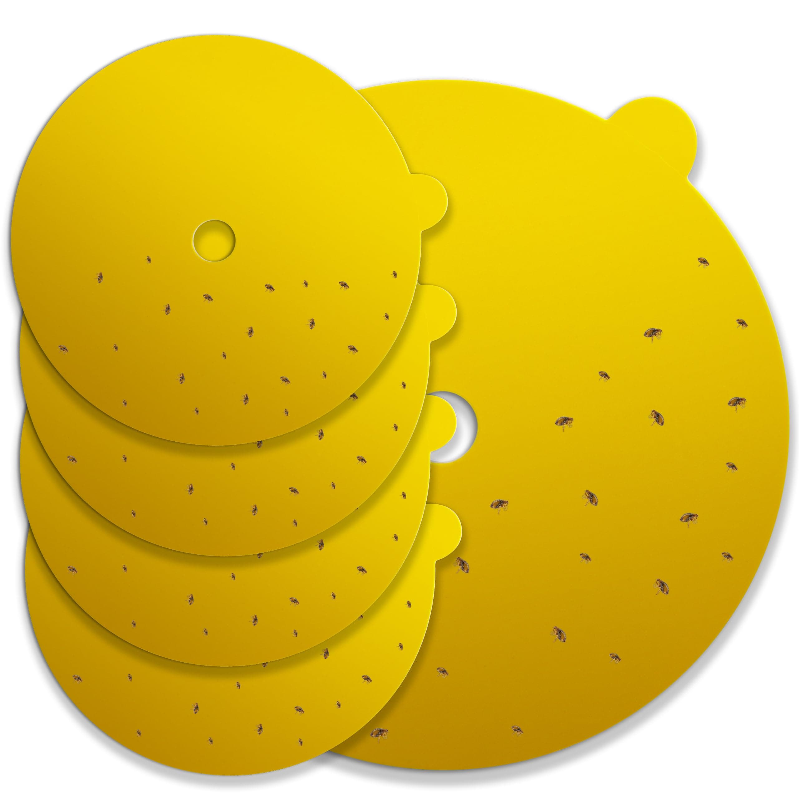 Flea Killer Replacement Disks for Flea Trap - Pack of 5 Flea Trap Sticky Disks for Effective Flea Treatment of House Glue Catches Fleas Fast