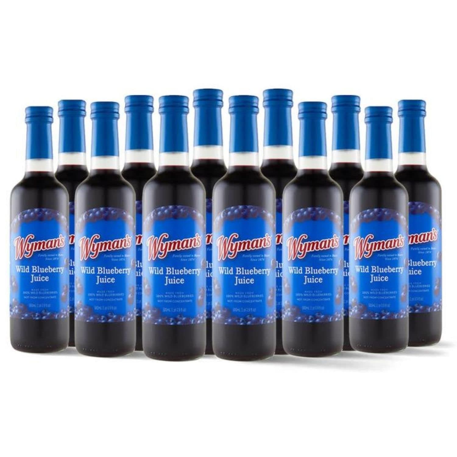 Wild Blueberry Juice (12 Count)