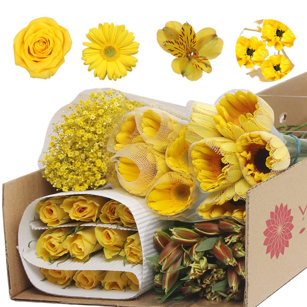 Vistaflor - Monochromatic Yellow Flowers