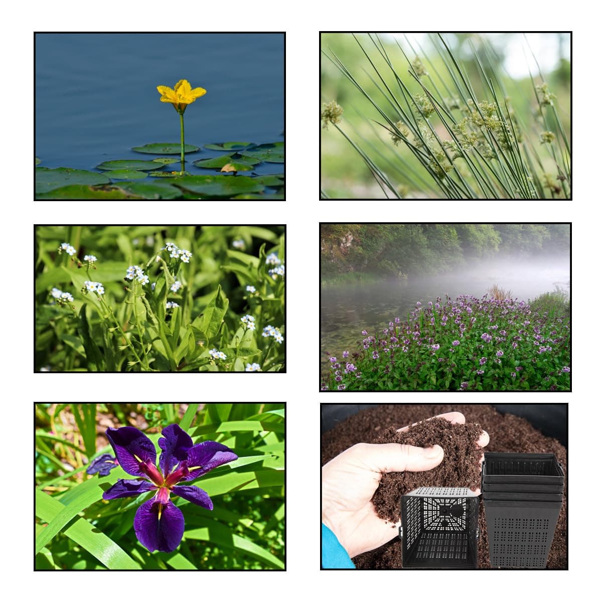 Pond Starter & Top up Pack - Oxygenating - Compost and Pots (XS)