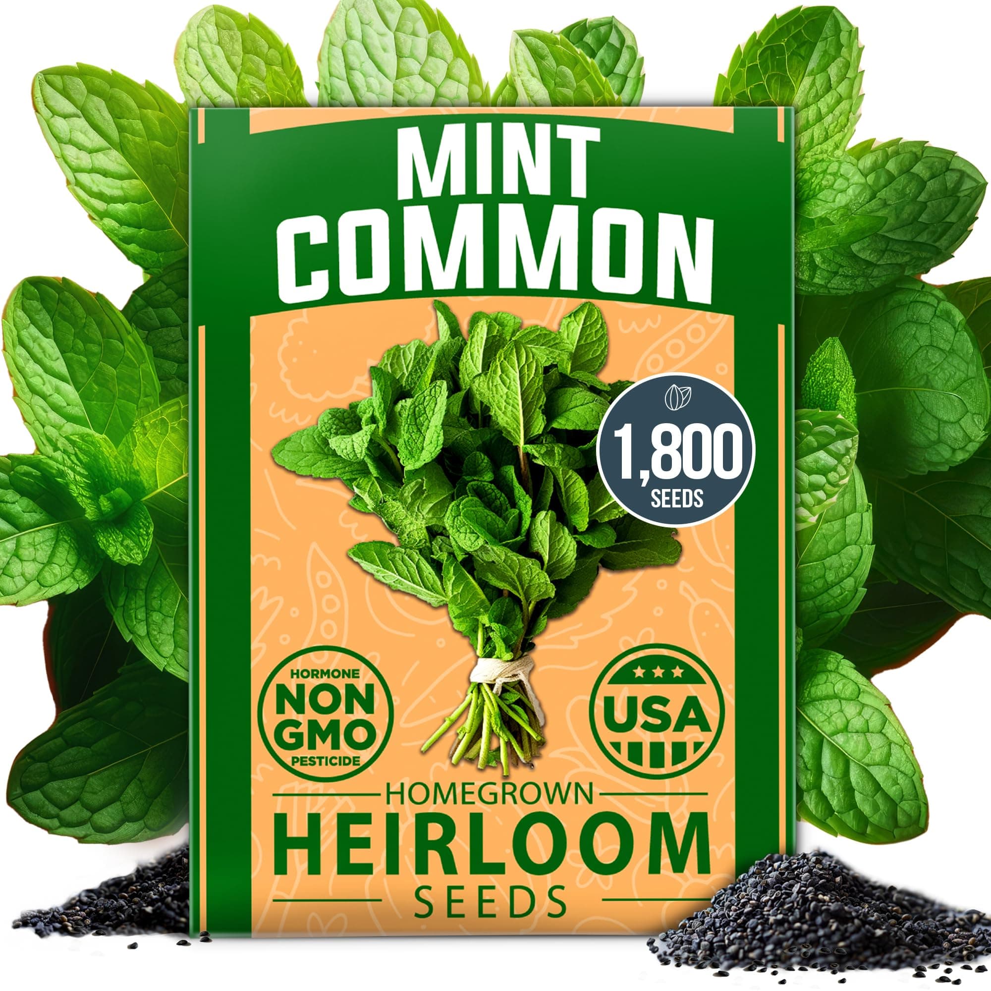 HOME GROWN Non GMO Common Mint Seeds (Bulk Pack) 1,800 Heirloom Herb Seeds, USA Sourced | Ideal for Planting Outdoors or Indoors for a Fresh Mint Tea Garden (Mentha spp)