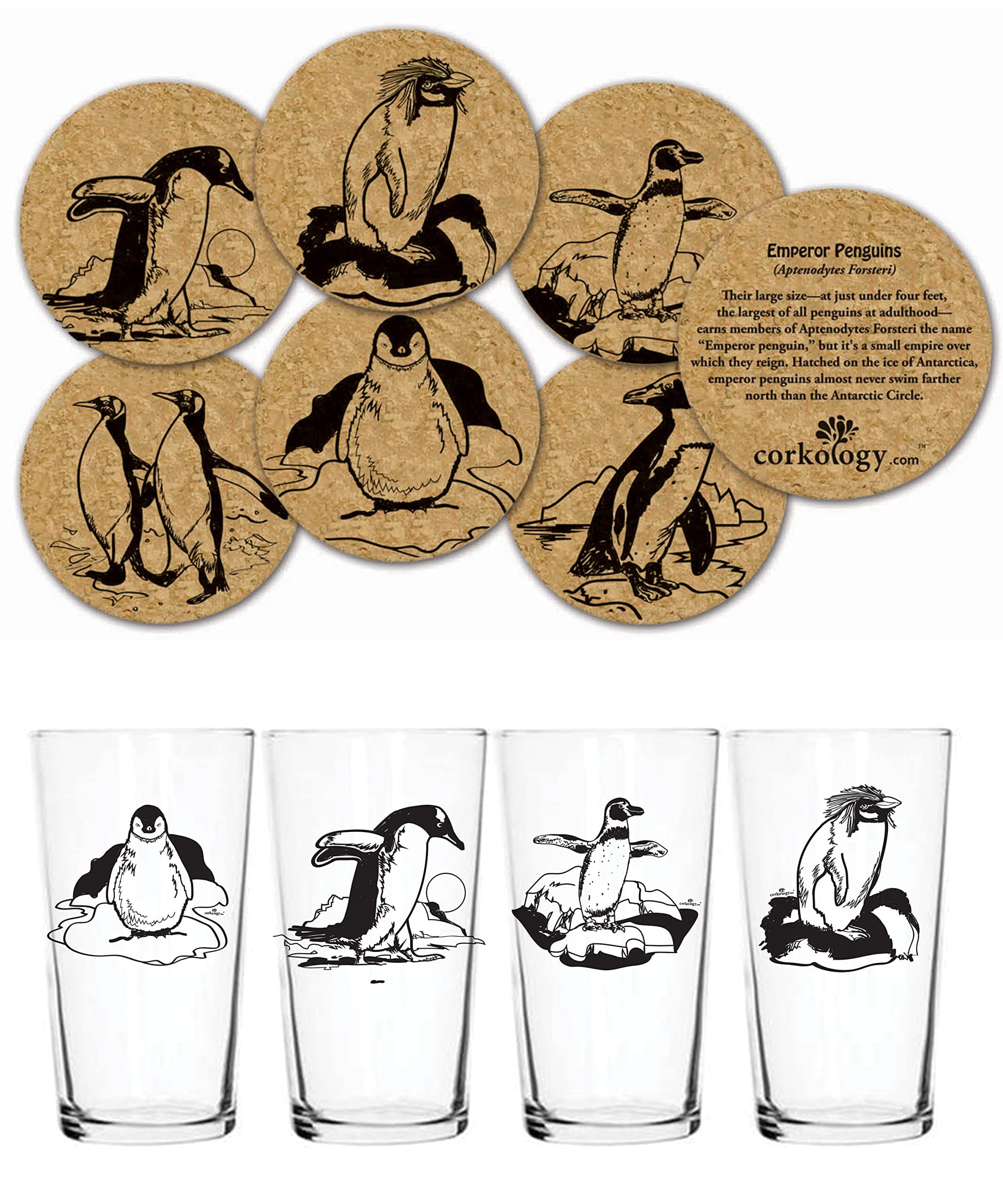Corkology.com Penguins Pint Pack with Matching Coaster Set, Clear