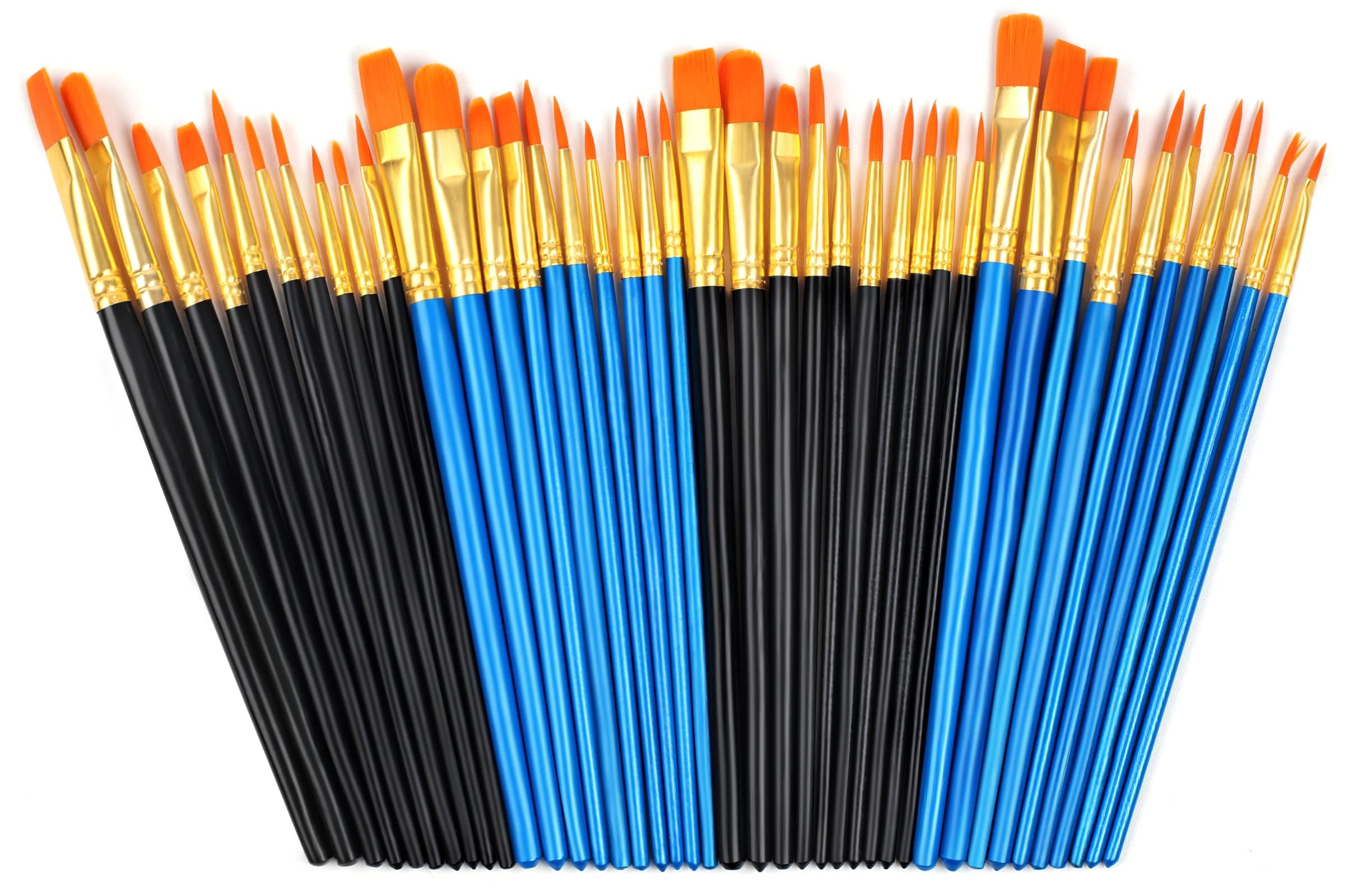 40 Pcs Paint Brushes, Paint Brush Set, Paint Brushes for Acrylic Painting, Watercolor Brushes, Acrylic Paint Brushes for Acrylic Oil Watercolor, Miniature Detailing, and Rock Painting