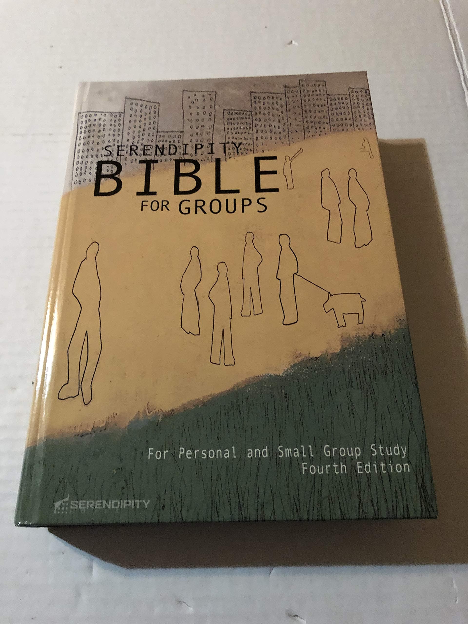 Serendipity Bible for groups: New International Version