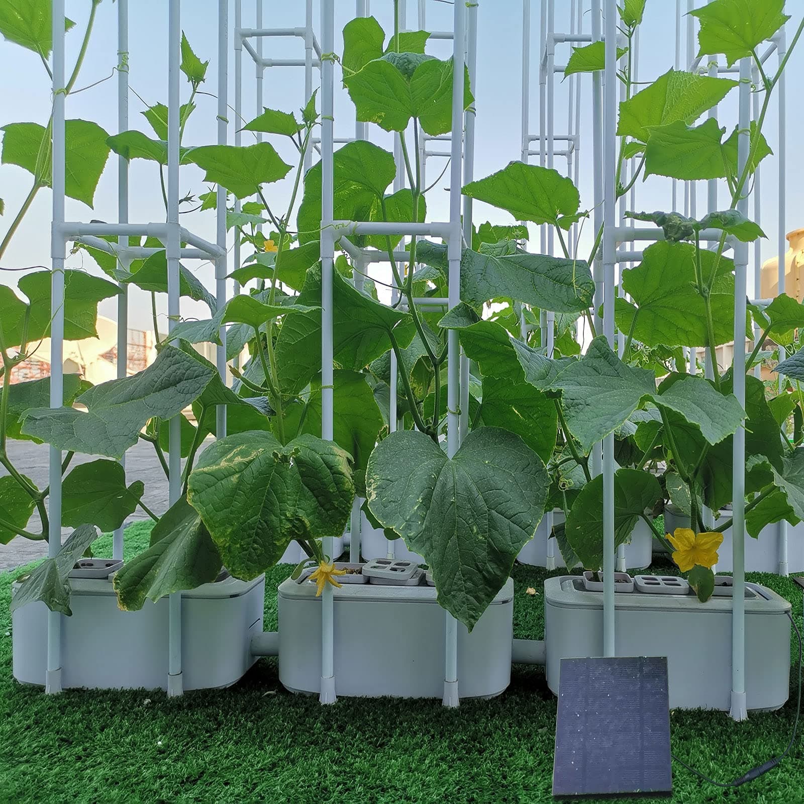 Solar Power Hydroponics Growing System,Big Hydroponic Gardening System with Smart Controller, Auto Remind Self-Watering Planter with 60" Climbing Trellis for Cucumber Tomato Basil Pepper(3 Modes,3IN1)