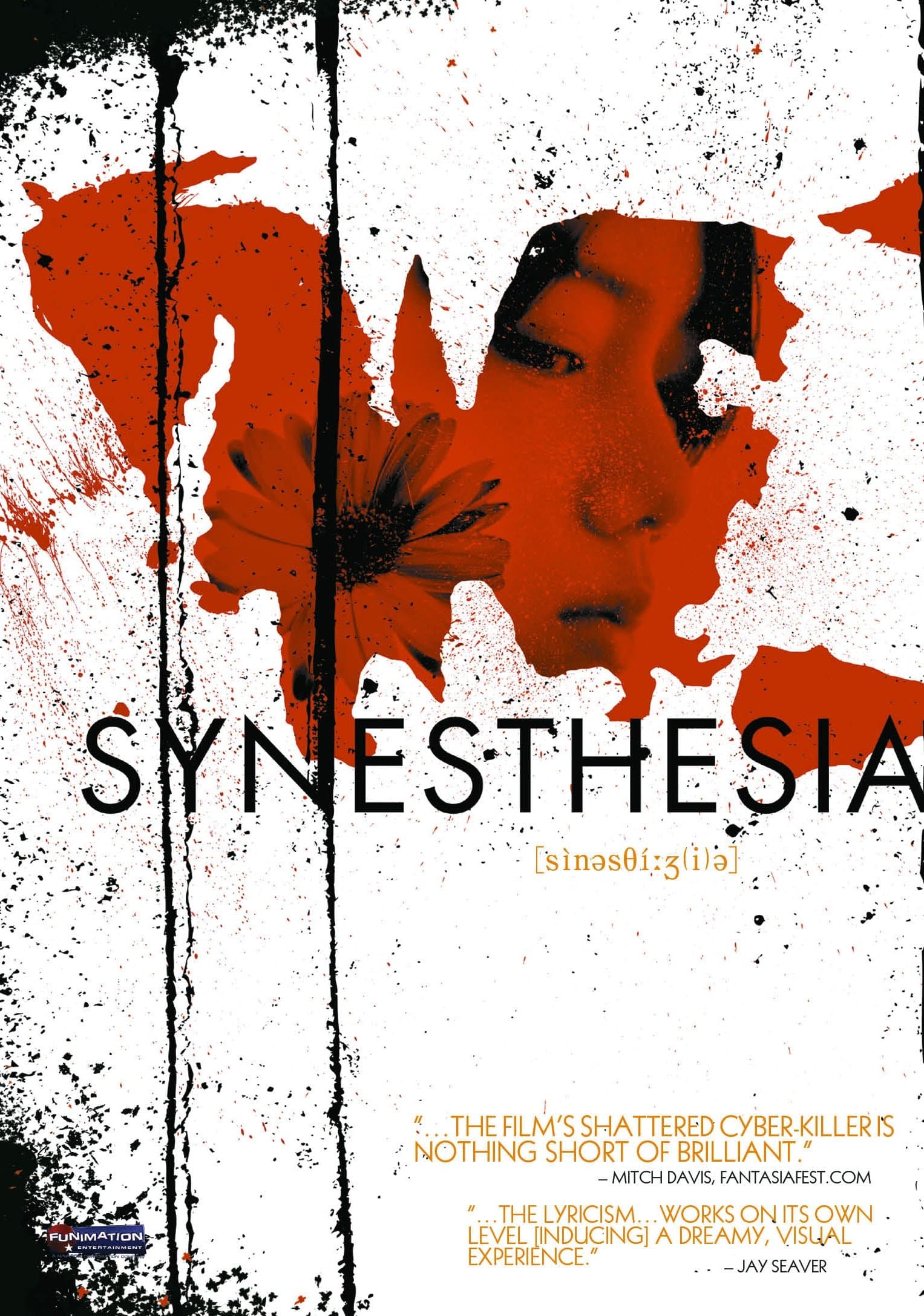 Synesthesia