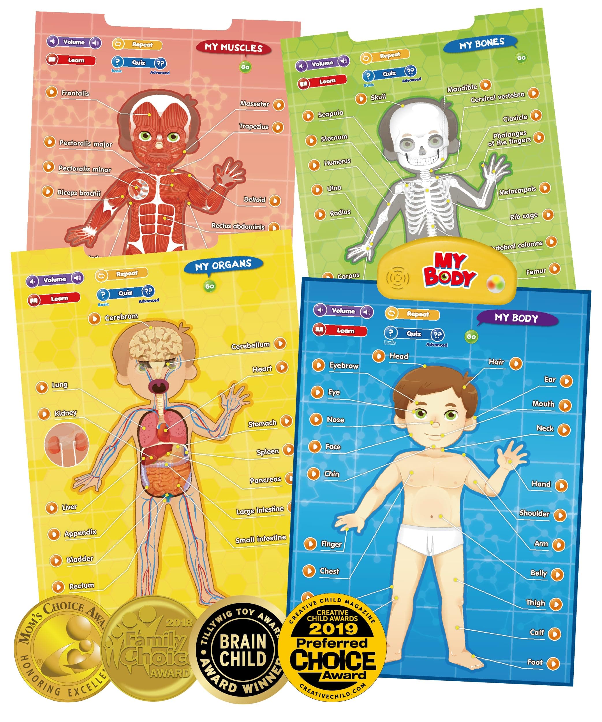 BEST LEARNING i-Poster My Body - Interactive Educational Human Anatomy Talking Game Toy System to Learn Body Parts, Organs, Muscles and Bones for Kids Aged 5 to 12 Years Old